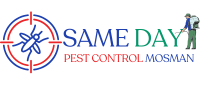 Same Daye Pest Control
